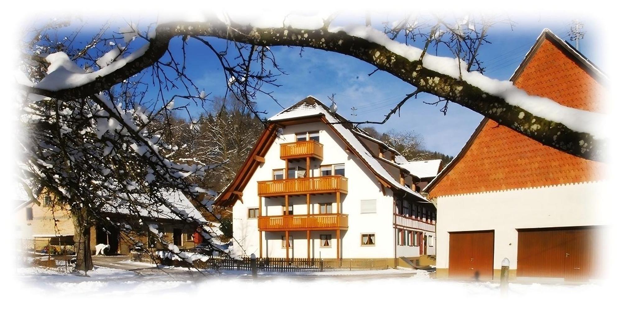 Mayer Burghoefe Owingen Dış mekan fotoğraf
