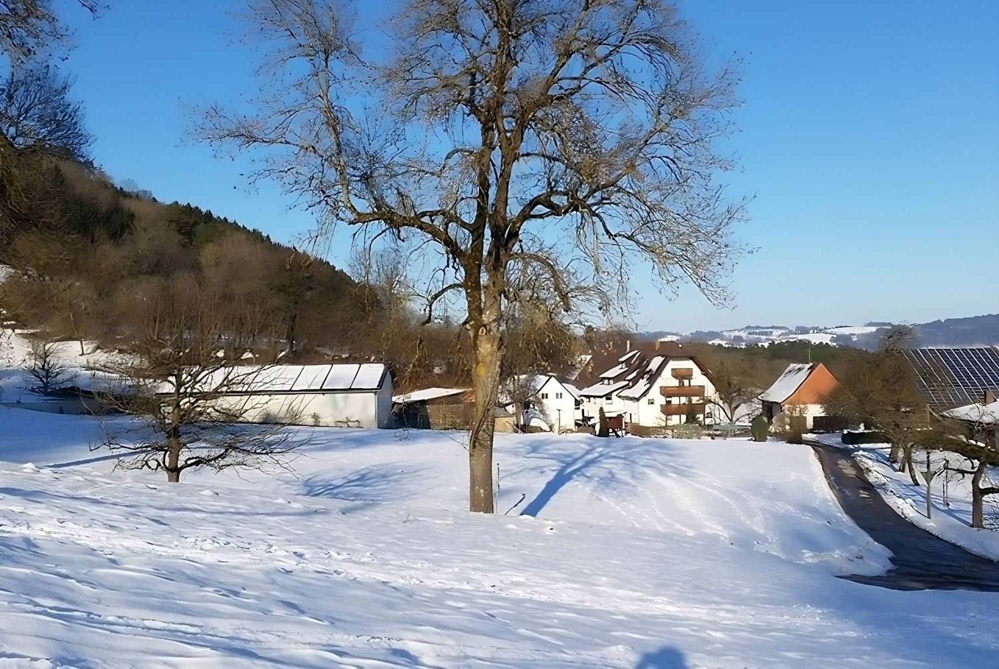 Mayer Burghoefe Owingen Dış mekan fotoğraf